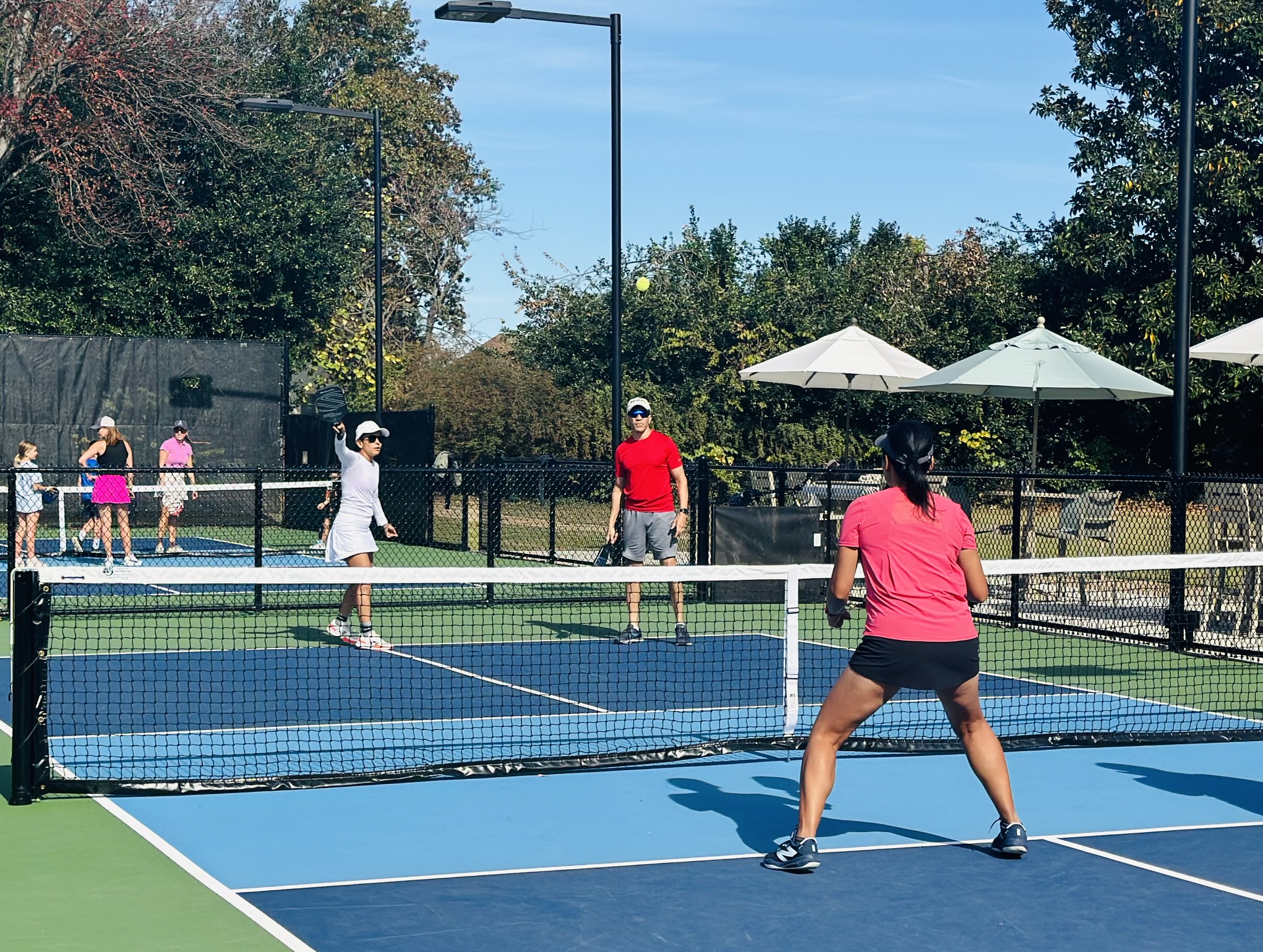 pickleball and paddle